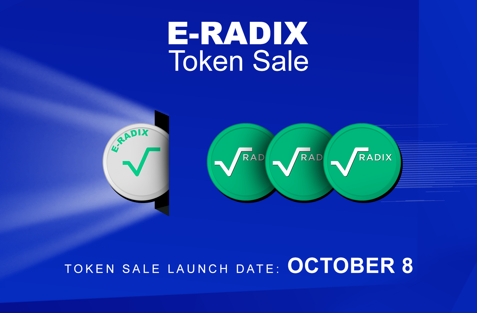 E-RADIX 토큰 판매 검토
